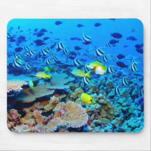 French Frigate Shoals reef with fish. Mouse Pad