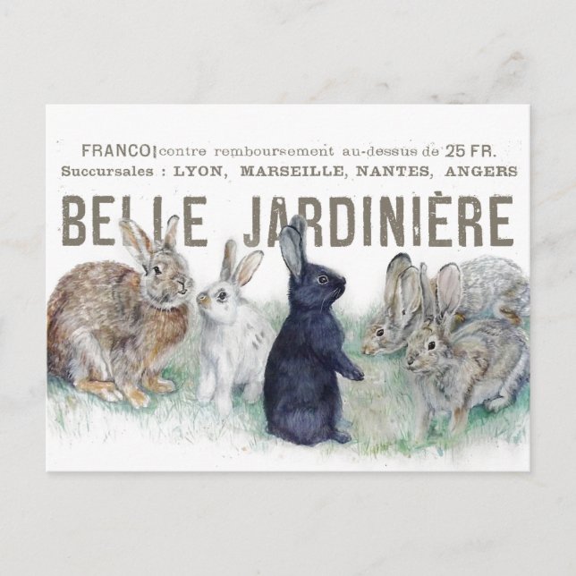 French Garden Vintage Bunny Rabbit Easter Spring  Postcard (Front)