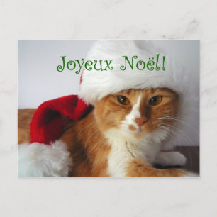 French Greeting Cat in Santa Hat Postcard