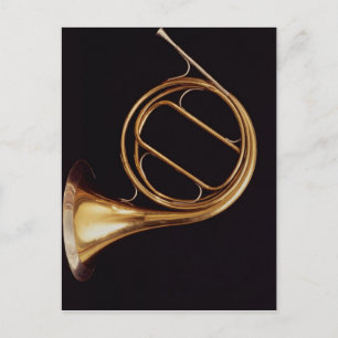 French Horn, by Marcel Auguste Raoux Postcard