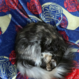 French Horn Fleece Blanket