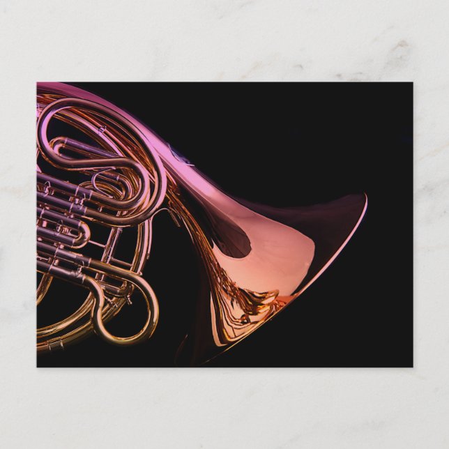 French Horn Musical Instrument Image Postcard (Front)