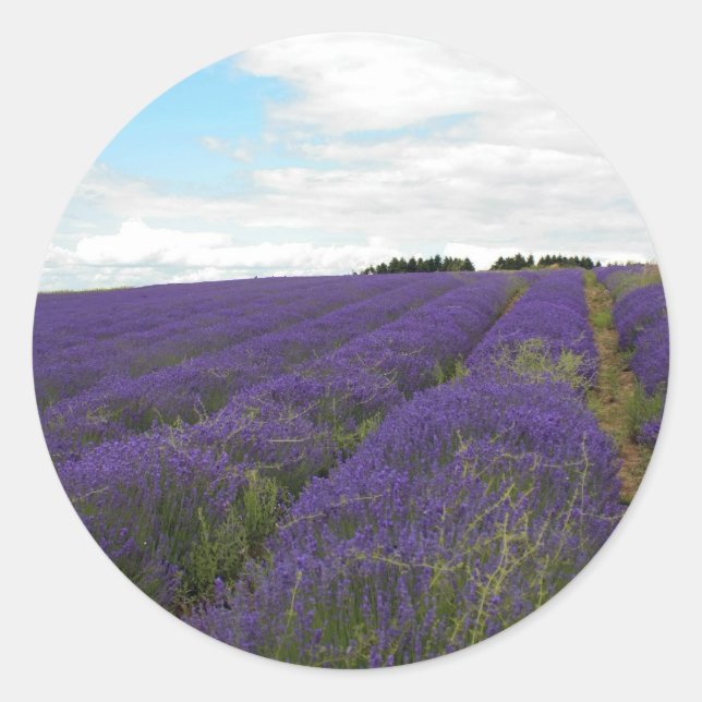 french lavender fields classic round sticker (Front)