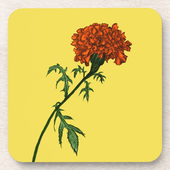 French Marigold Flower Ink Drawing Coaster (Front)