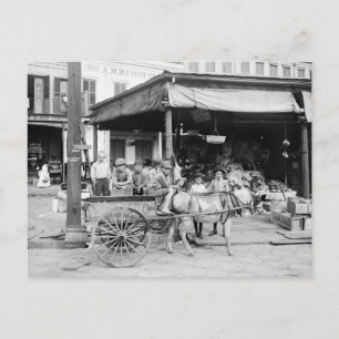 French Market, New Orleans, 1910 Postcard