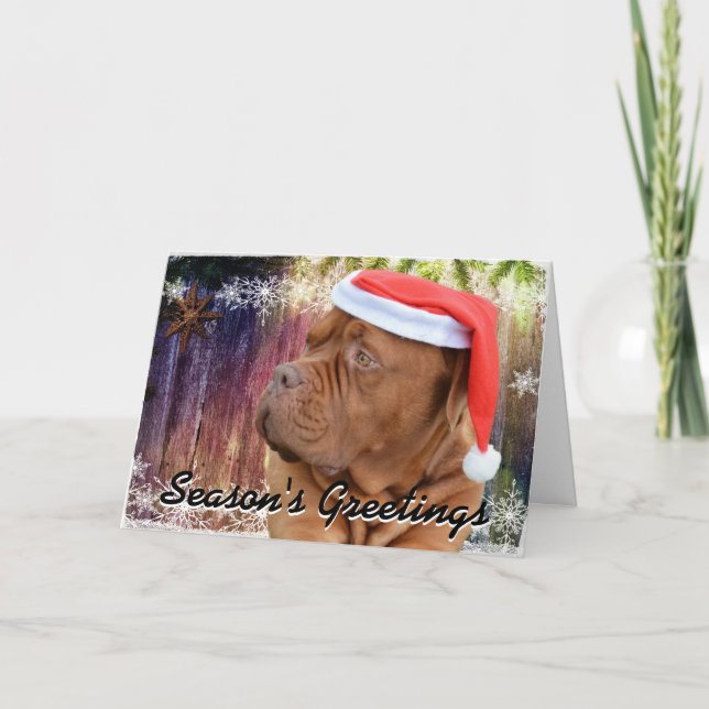 French Mastiff Christmas card (Front)