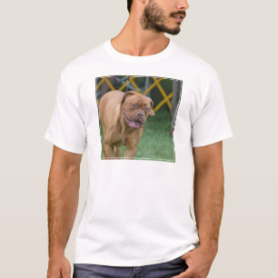 French Mastiff Dog T-Shirt
