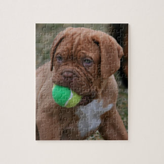 French Mastiff Puppy Jigsaw Puzzle