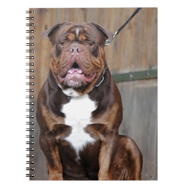 French Mastiff Spiral Notebook (Front)
