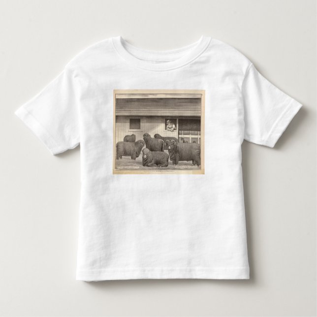 French merino sheep toddler T-Shirt (Front)