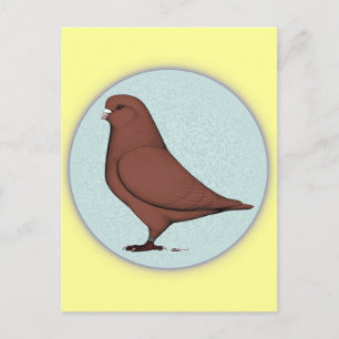 French Mondain Pigeon Circle Postcard
