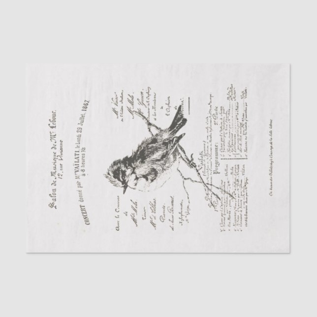 French Music Salon Bird Script Tissue Paper (Front)