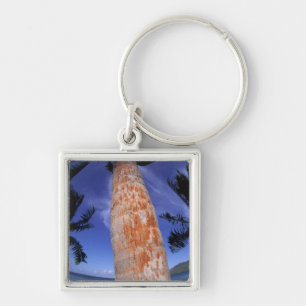 French Polynesia, Bora Bora, Palm trees Key Ring