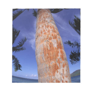 French Polynesia, Bora Bora, Palm trees Notepad