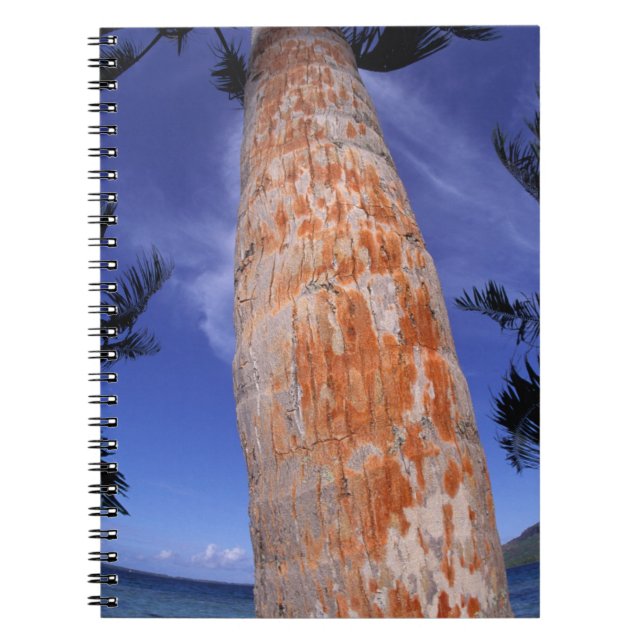 French Polynesia, Bora Bora, Palm trees Spiral Notebook (Front)