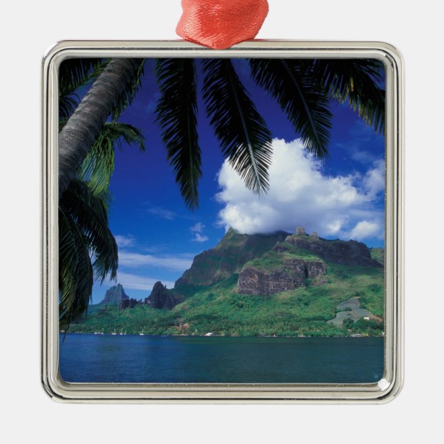 French Polynesia, Moorea. Cooks Bay. Green Metal Tree Decoration (Front)