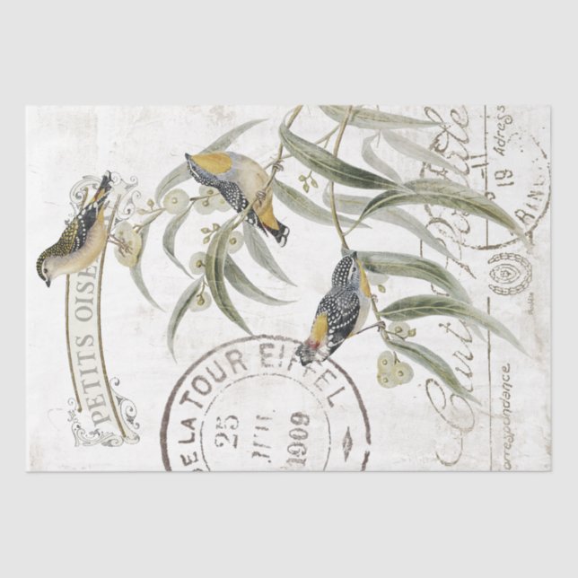French Postmark Vintage Bird Branch Decoupage  Tissue Paper (Front)