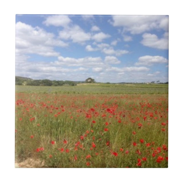 French Red Poppies and Blue Sky Tile (Front)