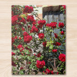 French Red Roses<br><div class="desc">This jigsaw puzzle is decorated with a photograph taken in France. It shows climbing red roses in the sunlight, almost obscuring a shuttered window.</div>