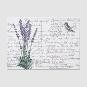 French Script Lavender Vintage Bird Postcard Tissue Paper