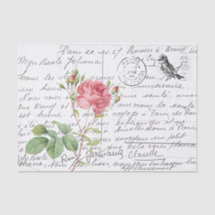 French Script Pink Cumberland Rose Bird Postcard Tissue Paper