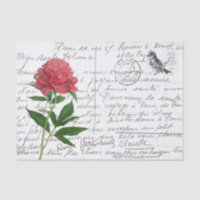French Script Vintage Peony Bird Postcard