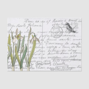 French Script Vintage Snowdrop Bird Postcard Tissue Paper