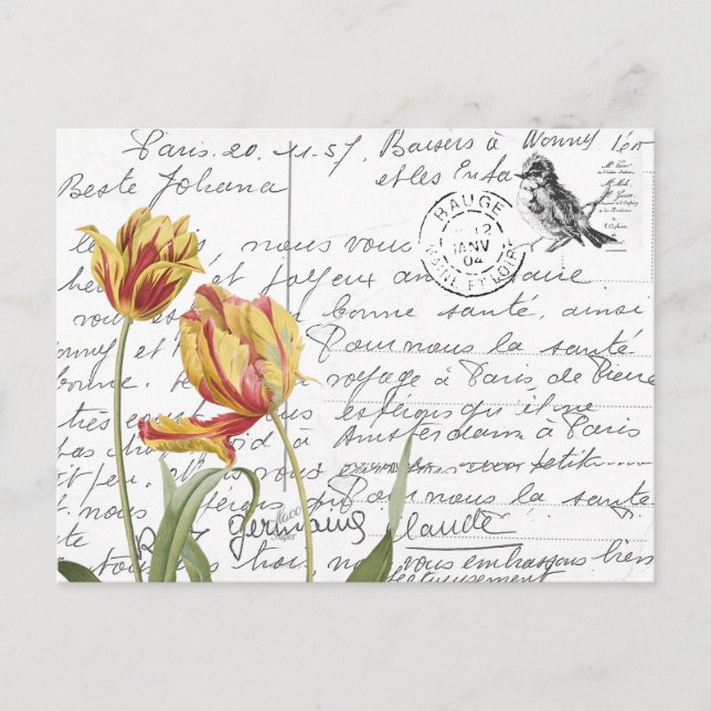 French Script Vintage Tulip Bird Postcard (Front)