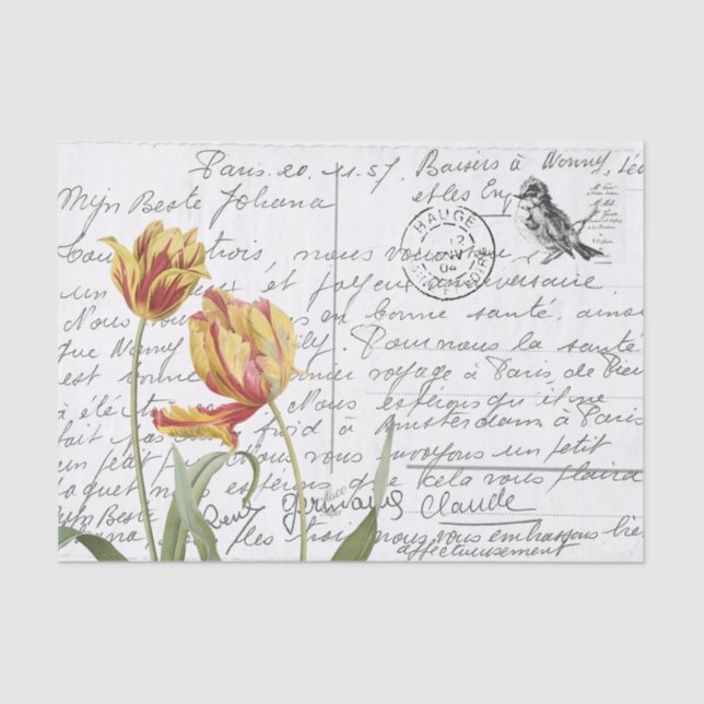 French Script Vintage Tulip Bird Postcard Tissue Paper (Front)