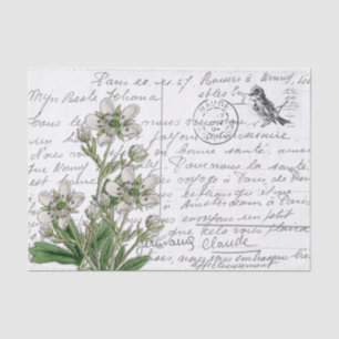 French Script Vintage White Flower Bird Postcard Tissue Paper