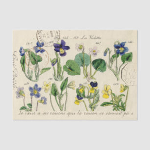 French Script Viola Flowers Vintage Postmark Tissue Paper