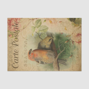 French Style Carte Postale Grosbeaks Tissue Paper