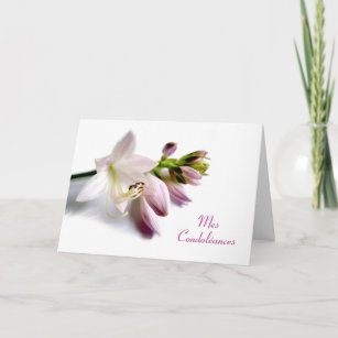 French Sympathy Mes Condoléances Hosta Flower Card