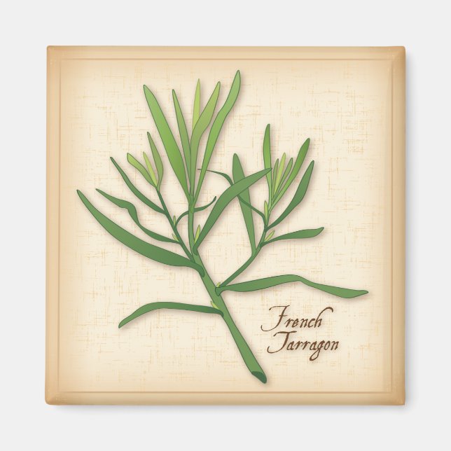 French Tarragon Herb Magnet (Front)