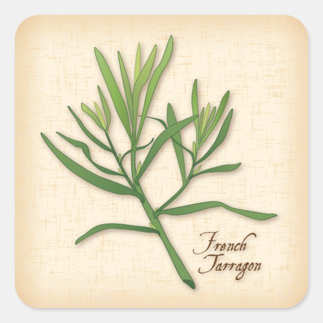 French Tarragon Herb Stickers (Front)