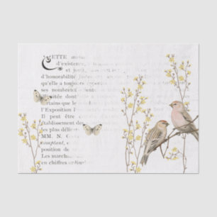 French Text Redpoll Bird Yellow Flower Decoupage   Tissue Paper