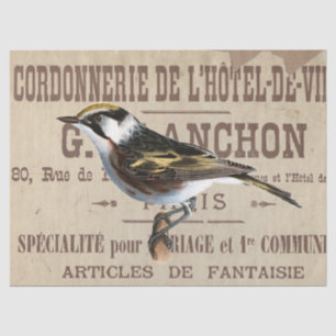 French Typography Decoupage Brown Bird Vintage  Tissue Paper