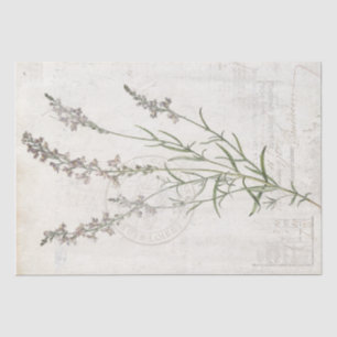 French Vintage Lavender Botanical Floral Decoupage Tissue Paper
