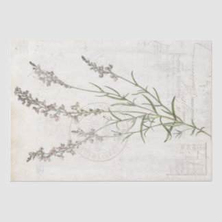 French Vintage Lavender Botanical Floral Decoupage Tissue Paper