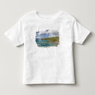 FRENCH WEST INDIES (FWI), Guadaloupe, Basse, Toddler T-Shirt