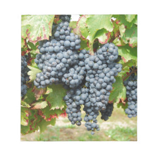 French Wine Grapes Notepad