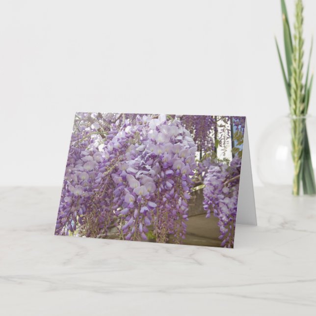 French Wisteria Holiday Card (Front)