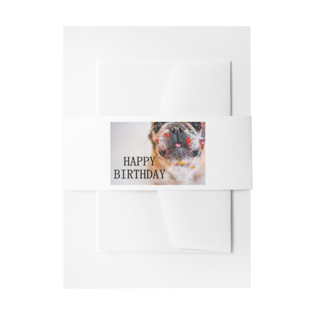 frenchie birthday invitation belly band (Front Example)