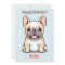 Frenchie, cute French Bulldog, Birthday