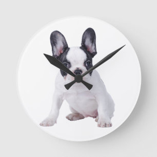 Frenchie - French bulldog puppy Round Clock