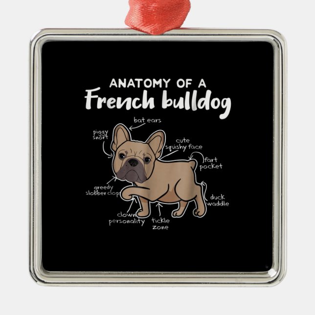 Frenchie Gift | Anatomy Of A French Bulldog Gift Metal Tree Decoration (Front)