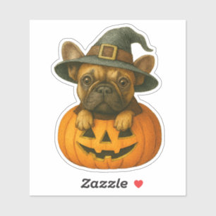 Frenchie in Pumpkin 