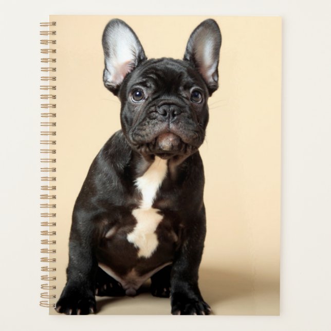 Frenchie Puppy Planner (Front)