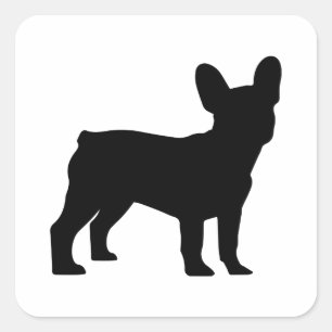 Frenchie   square sticker
