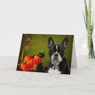 Frenchie Thanksgiving Card